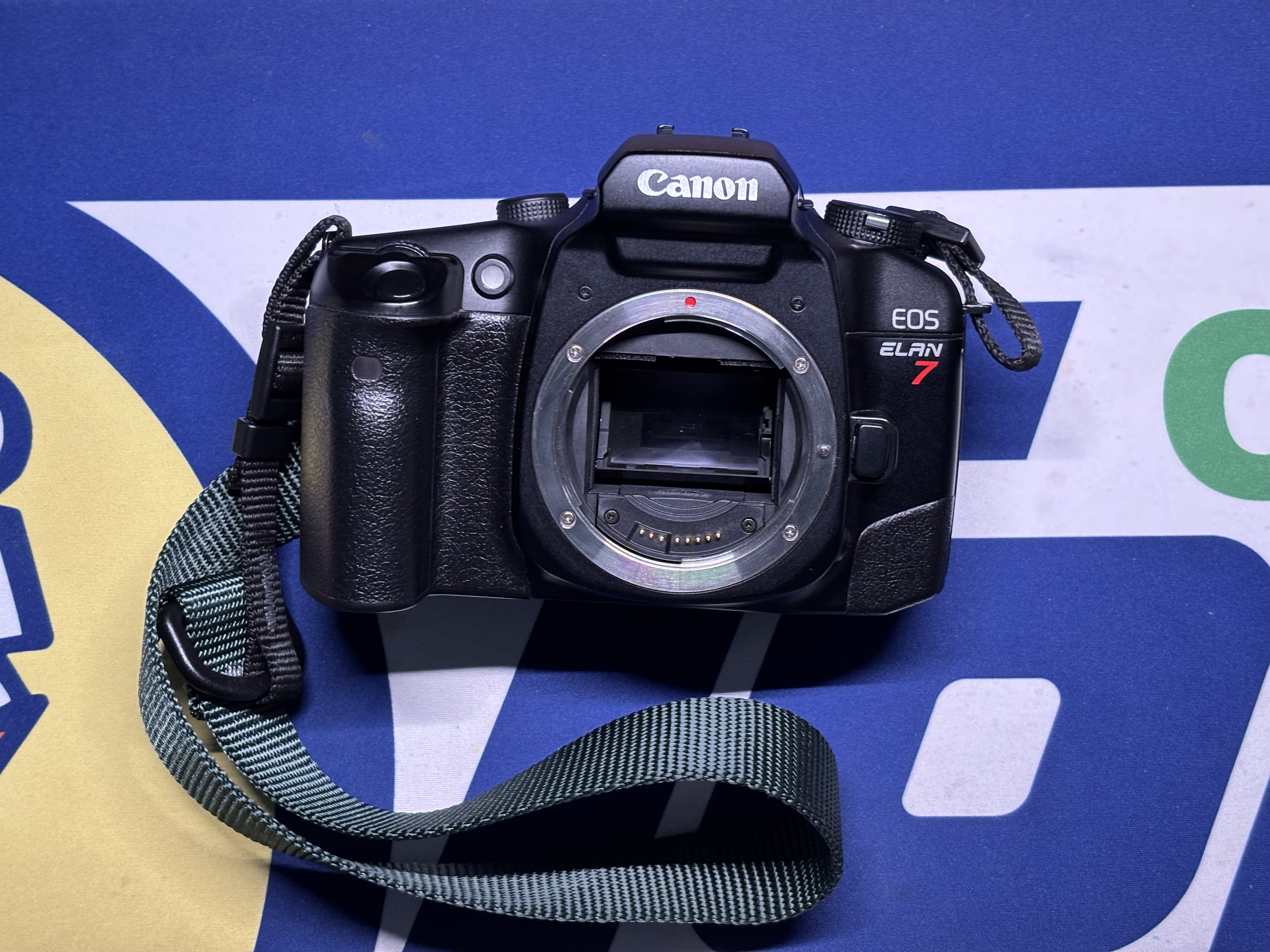Description of the photo