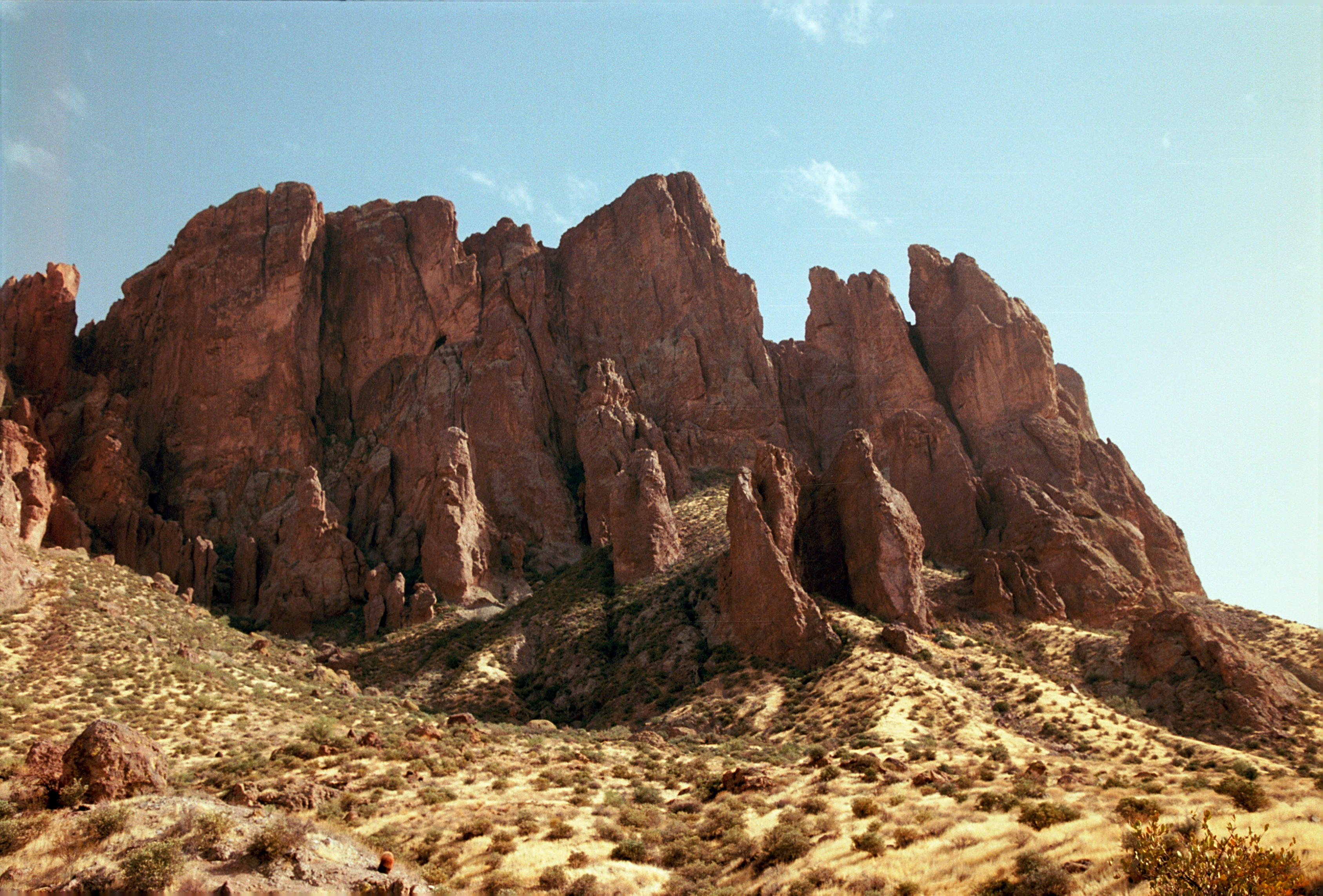 Description of the photo