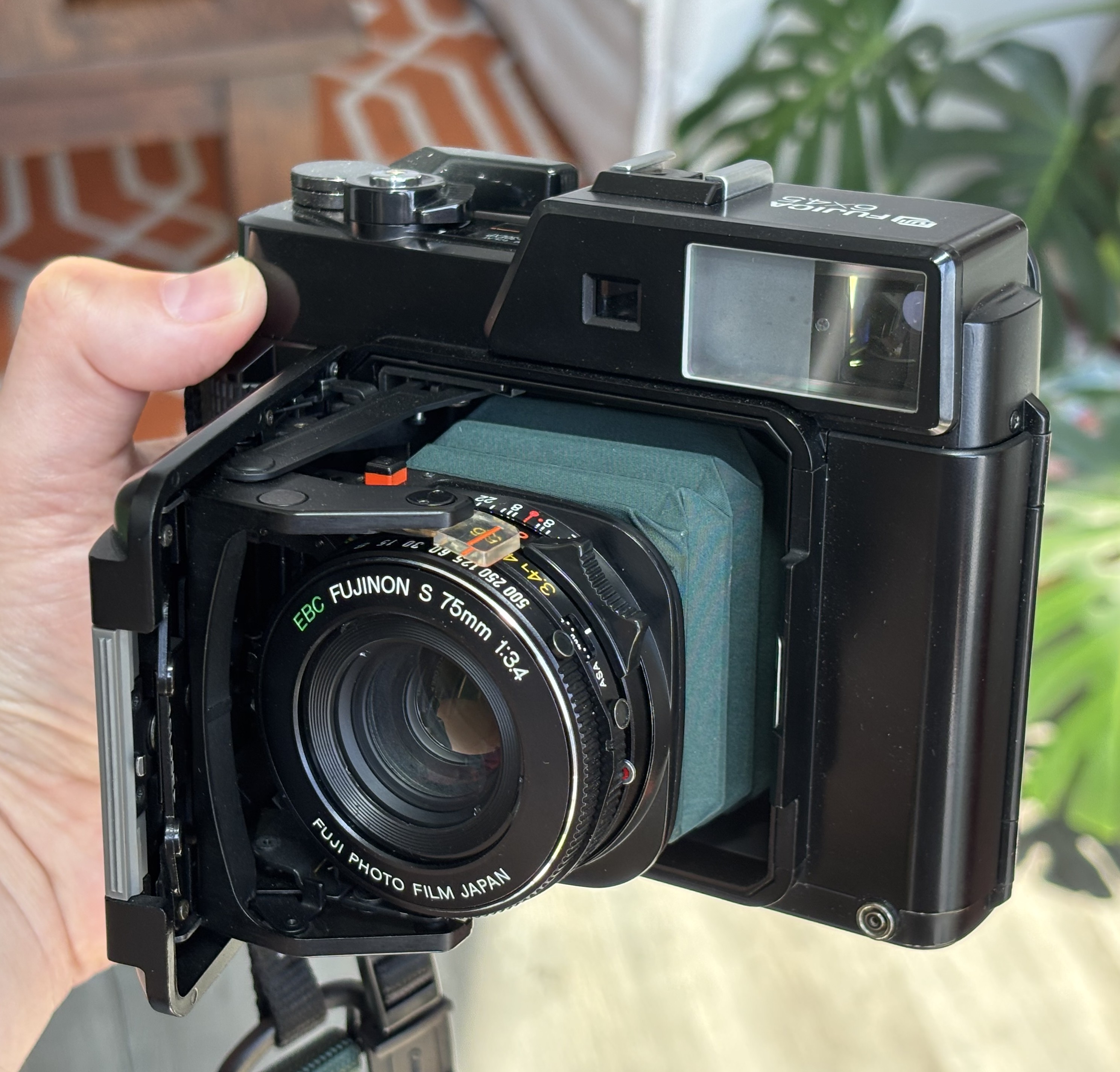 Description of the photo