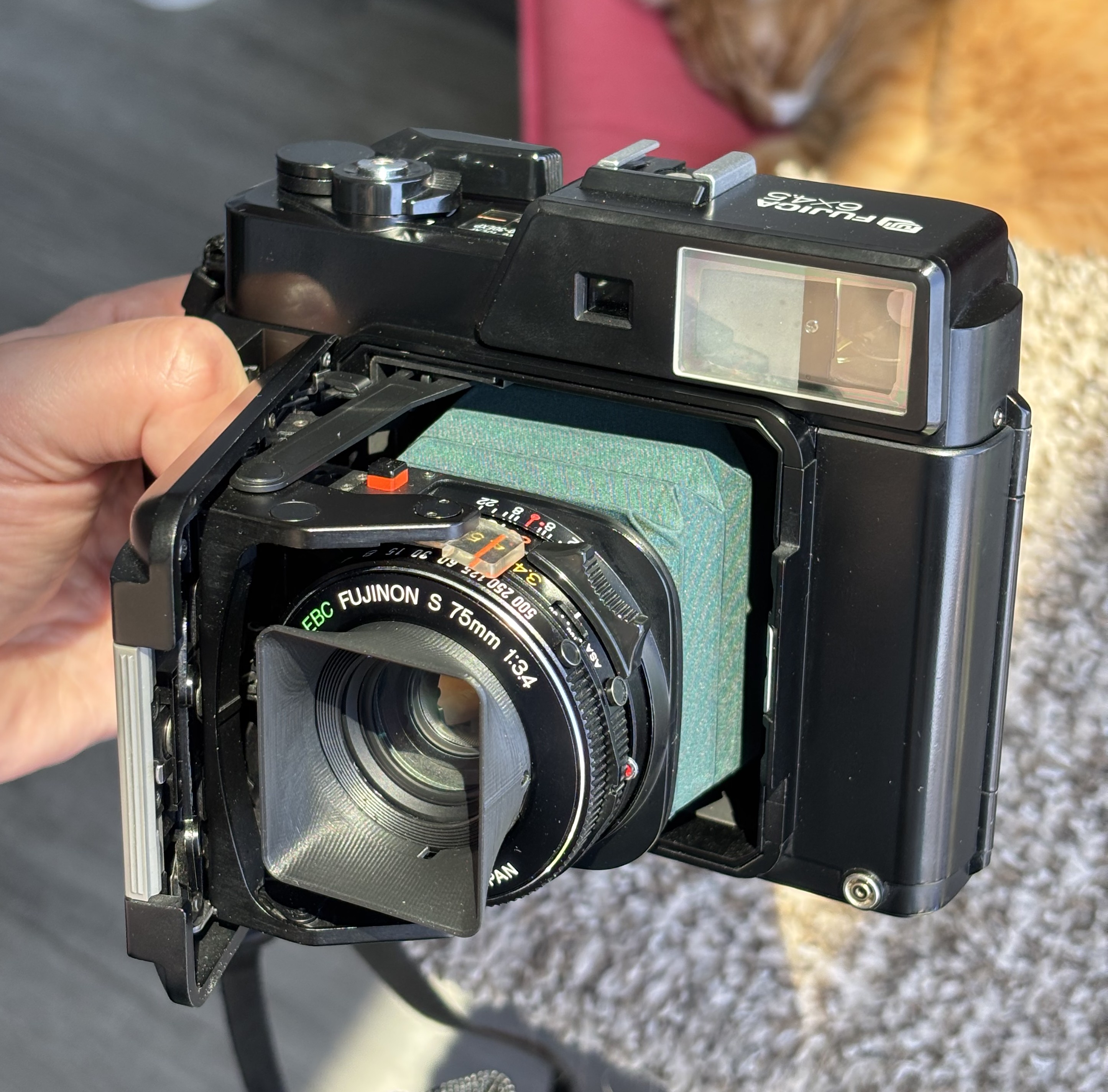 Description of the photo