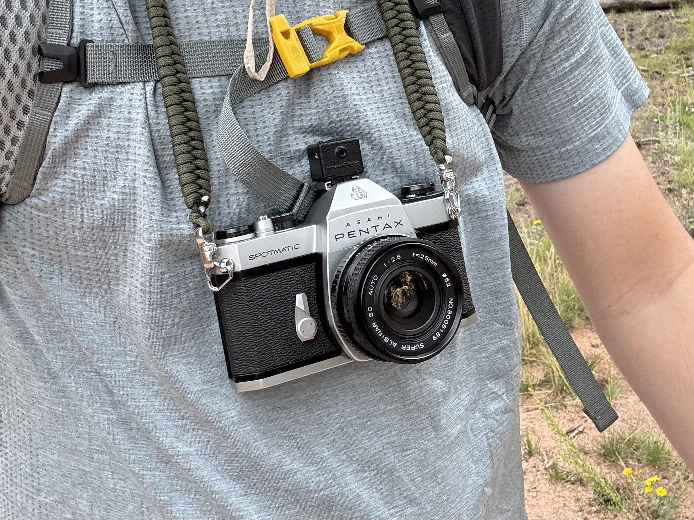 Description of the photo