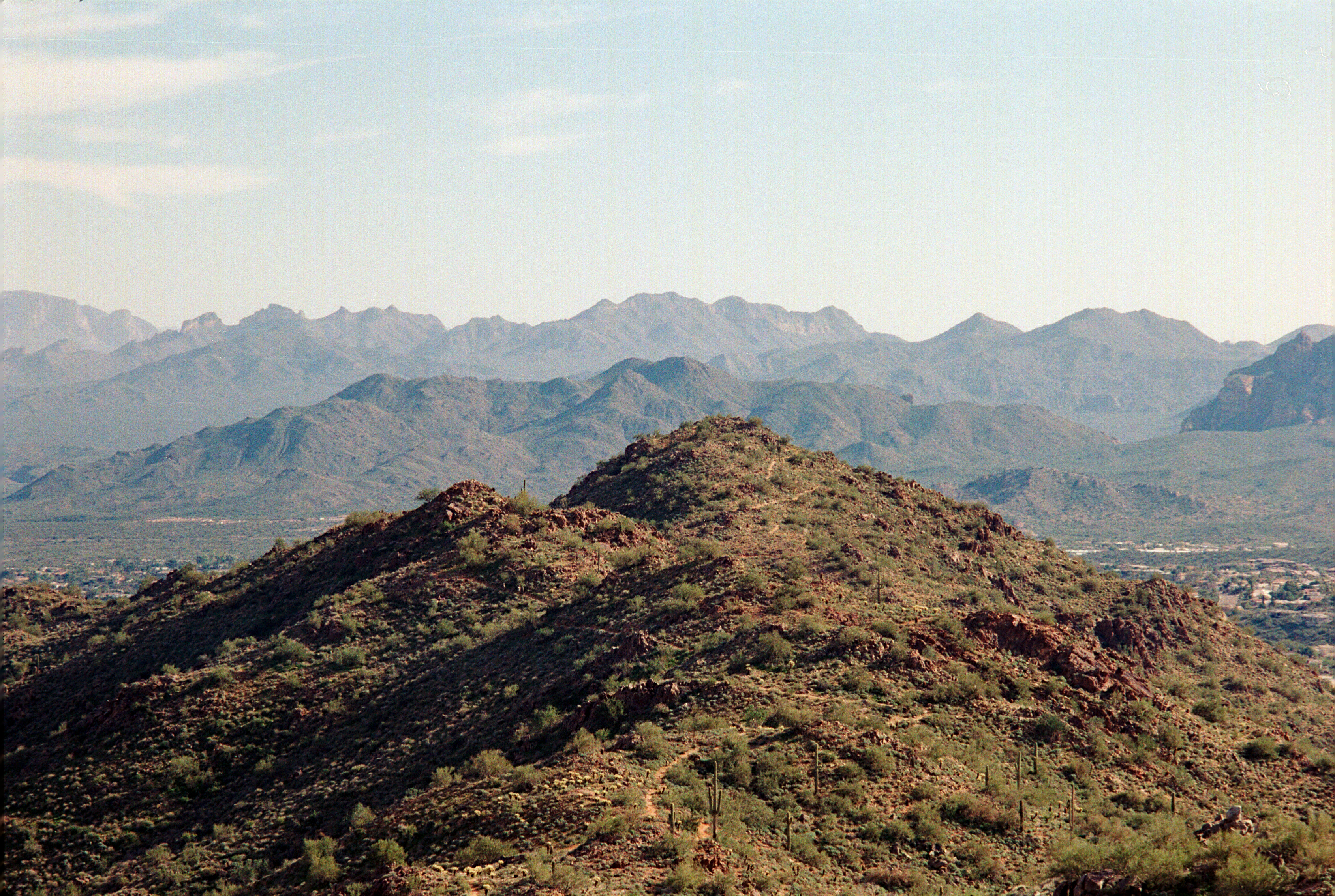 Description of the photo